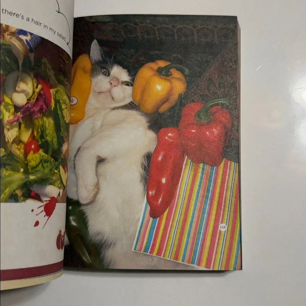 Chronicle Books: More Stuff on My Cat - Vibrant Cover